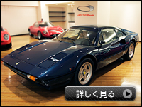 308GTB�X�`�[���{�f�B