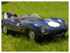 Lynx D type