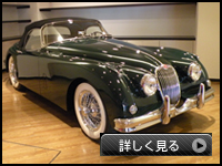 XK150S[hX^[